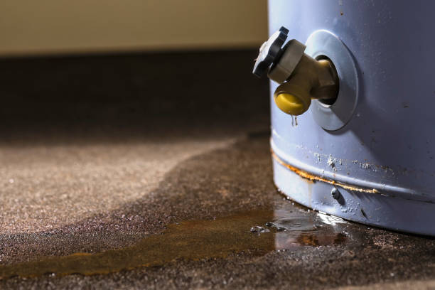 Trusted Mitchellville, MD Water damage restoration Experts