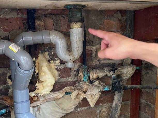 Best Water damage restoration near me  in Mitchellville, MD
