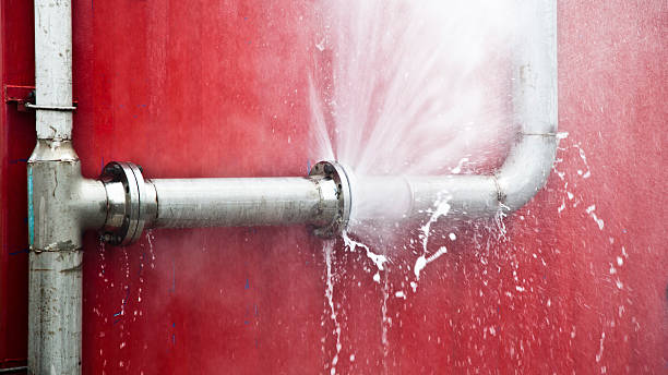 Best Water damage restoration near me  in Mitchellville, MD
